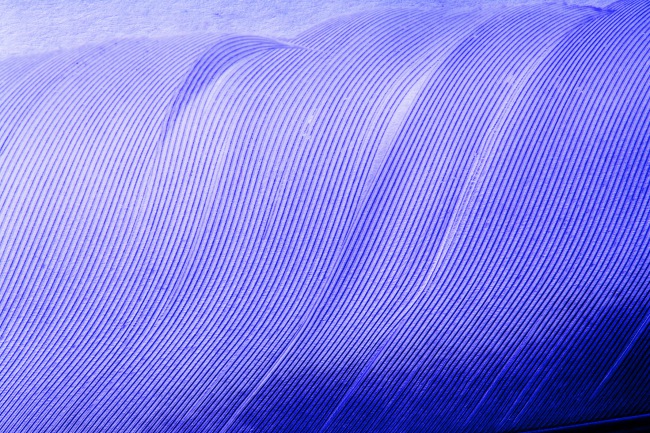 Faltenbehandlung mit Bt Typ A Faltenbehandlung mit Bt Typ A