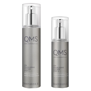 QMS Advanced Ion Equalizing System